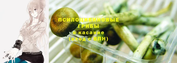 ешки Алексеевка