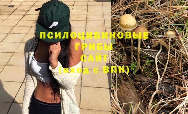 ешки Сатка